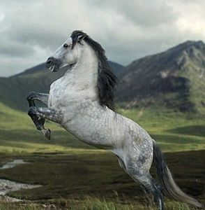 Meet your Posher, Abner